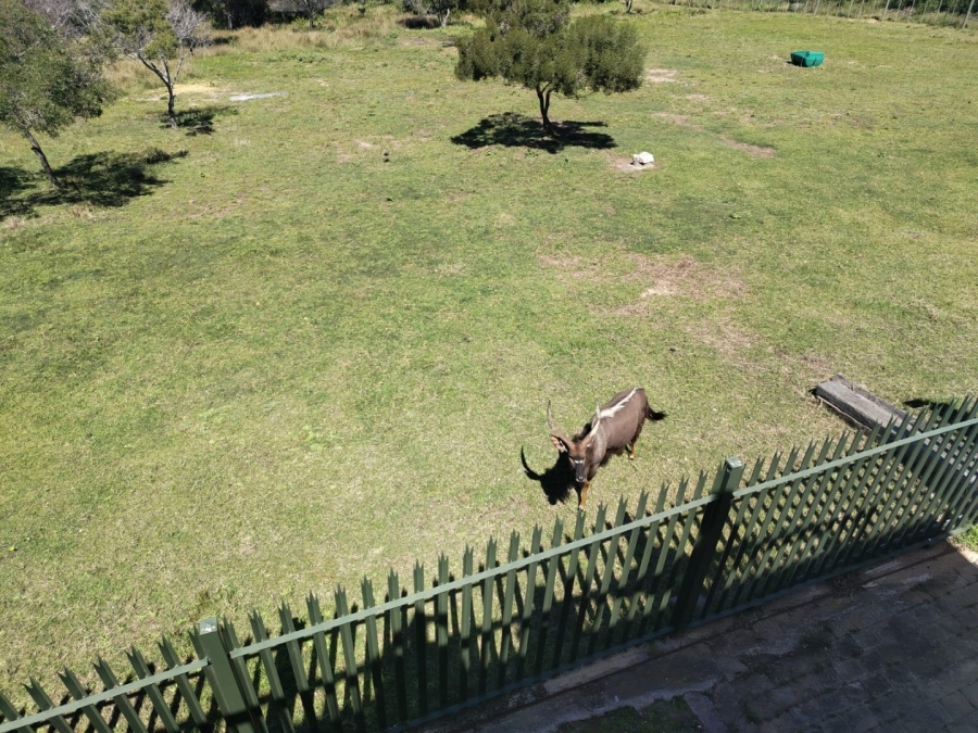  Bedroom Property for Sale in Groot Brakrivier Central Western Cape